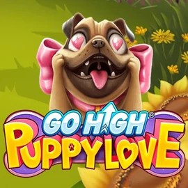 Try Go High Puppy Love slot by RubyPlay on gambloriacasinoo.pl – logo image